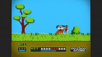 Duck Hunt Picture