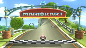 Mario Circuit Picture